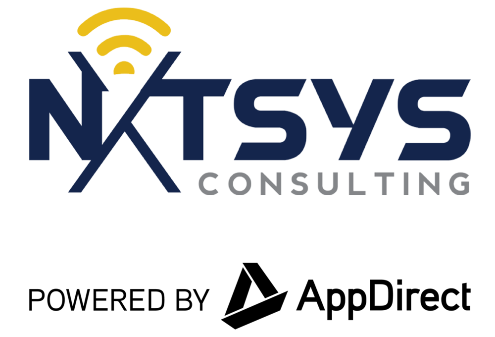 NXT SYS Consulting